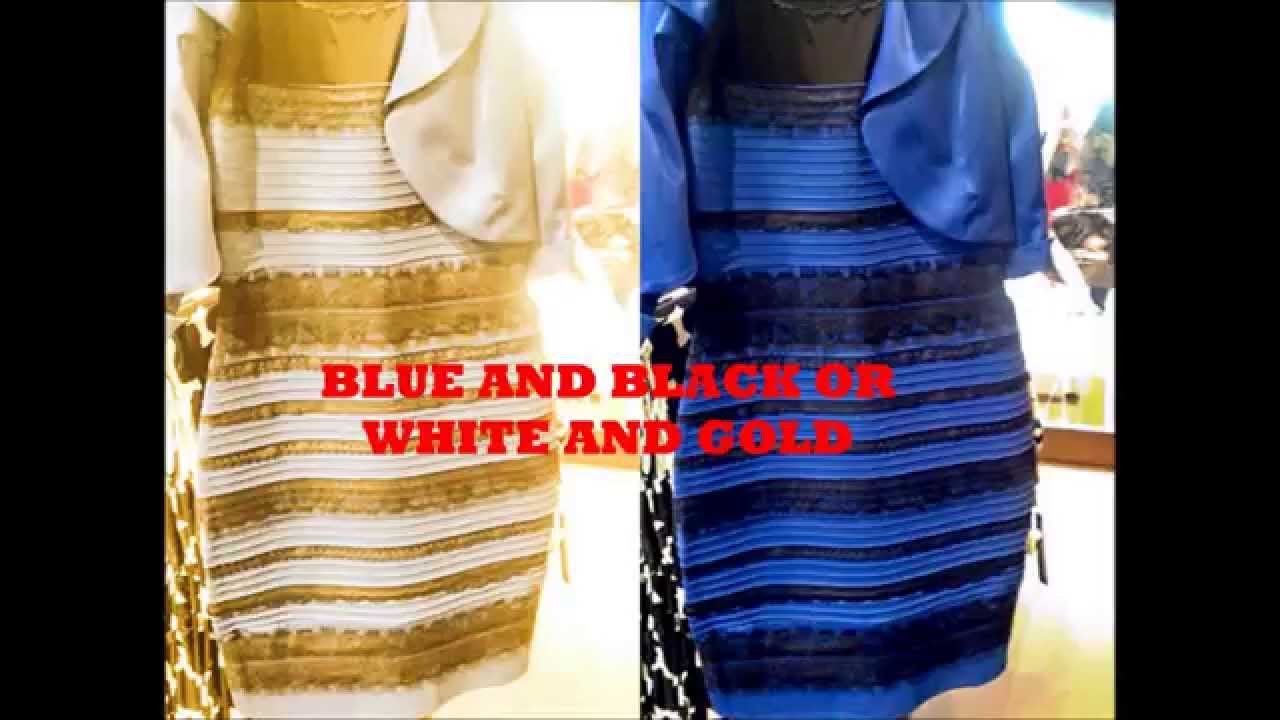 Results Of What The Color Of The Dress !! Royal-Blue #TheDress - YouTube