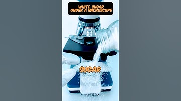 🧂White Sugar Under a Microscope😱😨