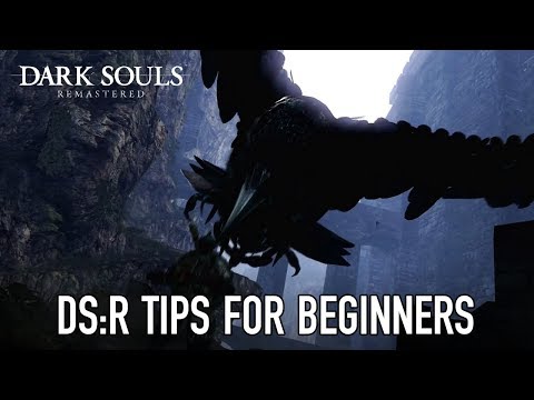 5 Beginner Tips for Dark Souls: Remastered | Vaatividya