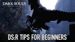 Dark Souls Remastered Switch Tips