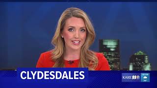 MORGAN WOLFE ANCHORING Details