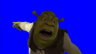 Shrek Footage