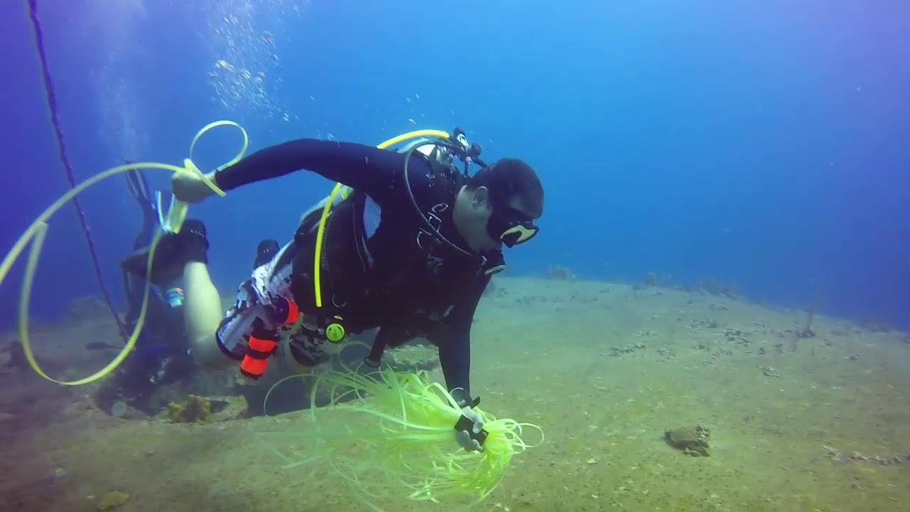 Scuba Diving Circuito HickoryBoyaLimon (segunda parte) YouTube