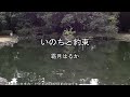 2026-8-6 いのちと約束/霜月はるか