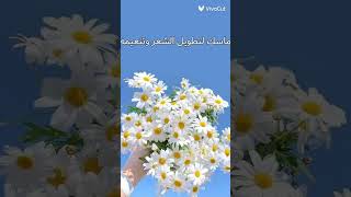 ماسك لتطويل الشعر وتنعيمه ???