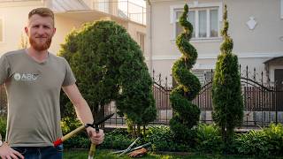 3 Ağacı Tek Bir Şekle Dönüştürme | Topiary Sanatı