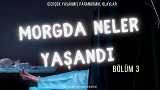 Morgda Yaşanan Paranormal Olaylar İsmai̇li̇n Kurtuluşu 3 Bölüm