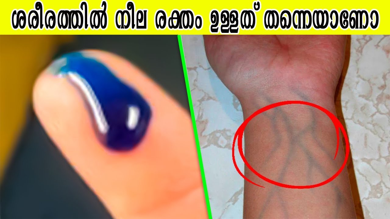 സ്കൂളിൽ പഠിപ്പിച്ച ഈ തെറ്റുകൾ ഇപ്പോഴും വിശ്വസിക്കുന്നോ | ഗൂഗിൾ ചെയ്യാൻ നിങ്ങൾക്ക് മടിയുള്ള കാര്യങ്ങൾ