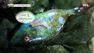 정글의법칙 130809 #22(8)