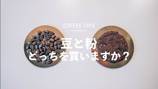 【豆 or 粉】どう違うのか？