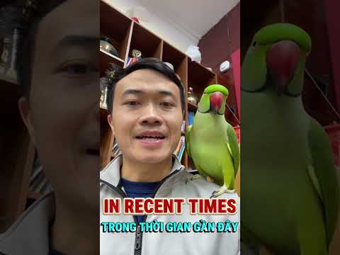 Video Các Bạn Có Biết Cách Nào Ngoài Nowaday Để Nói Ngày Nay Không? - youtube