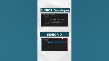 When a Junior Developer Meets a Senior Developer 😂