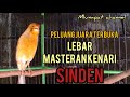 Peluang Juara Terbuka Lebar Menggunakan Masteran Kenari Sinden Mp3 - Mp4 Download