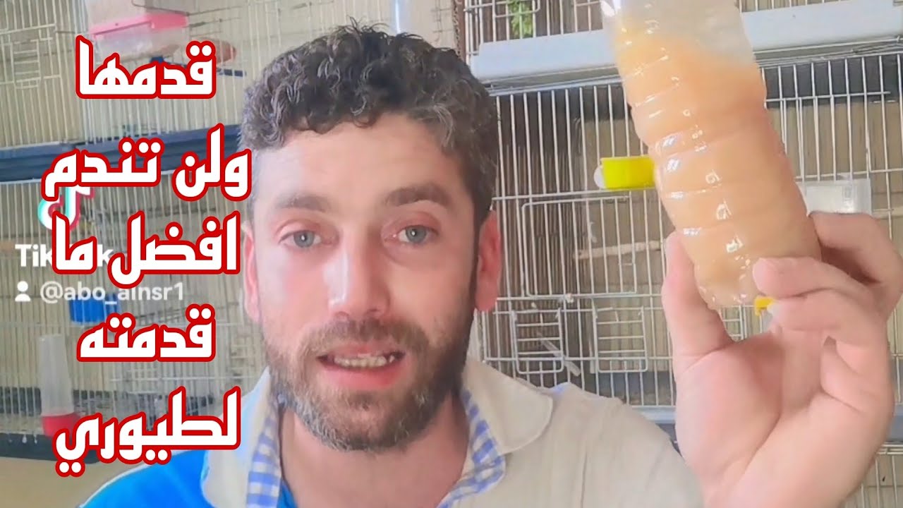 افضل واقوى فاتح شهية للطيور كنز طبيعي موجود في كل منزل لا تحرم طيورك منه