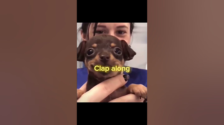 Happy #trending #viral #cute #dog #puppy