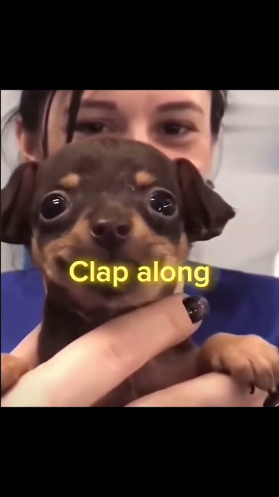 Happy #trending #viral #cute #dog #puppy