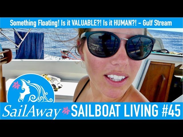 SailAway 45 | Something’s Floating! Is it VALUABLE?! Is it HUMAN?! | Sailboat Living Sailing Vlog