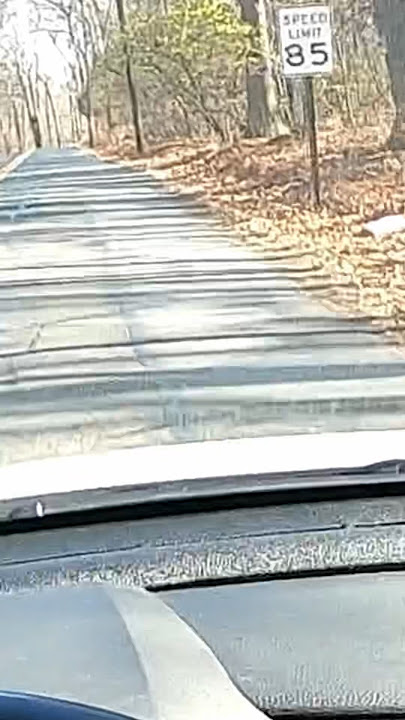 When the backroad speed limit is 85 mph!