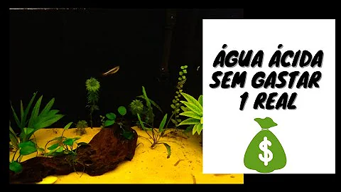 Como alterar o pH da água do aquário?