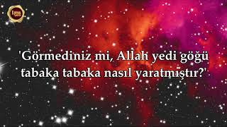 Allah Sizi Yerden Bir Bitki Gibi Bitirdi. Nuh Suresi - Tareq Mohammad