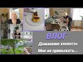 Влог.Мою окна с удовольствием.Wollmer W600/Пробую зразы/ Купила растения,черемшу на Авито