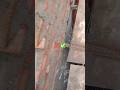 acche mistri ki pahchan int jod mein kaise karen#shorts #shortsvideo #construction