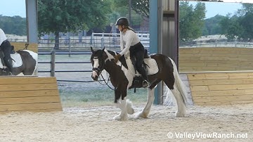 Ashling - walk, trot, canter, transitions! - ValleyViewRanch.net