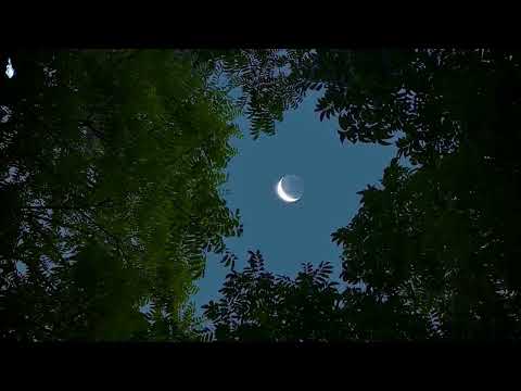 [1 hour] 蘭亭序 - Lan Ting Xu (Violin cover)