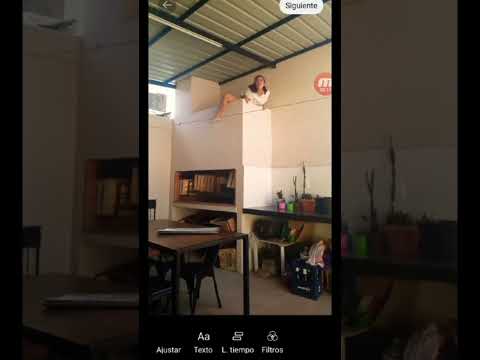ORANGUTANA TU TIA