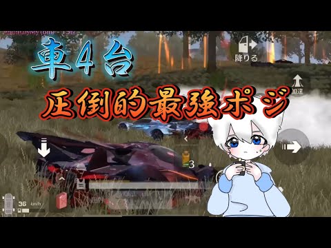 完璧な漁夫で圧倒的最強ポジを取って優勝🏆（シングルゲリラpart102）【荒野行動】