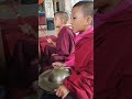 Little nuns at tsungon pema yoebarling gonpa  buddhist nuns  bhutan