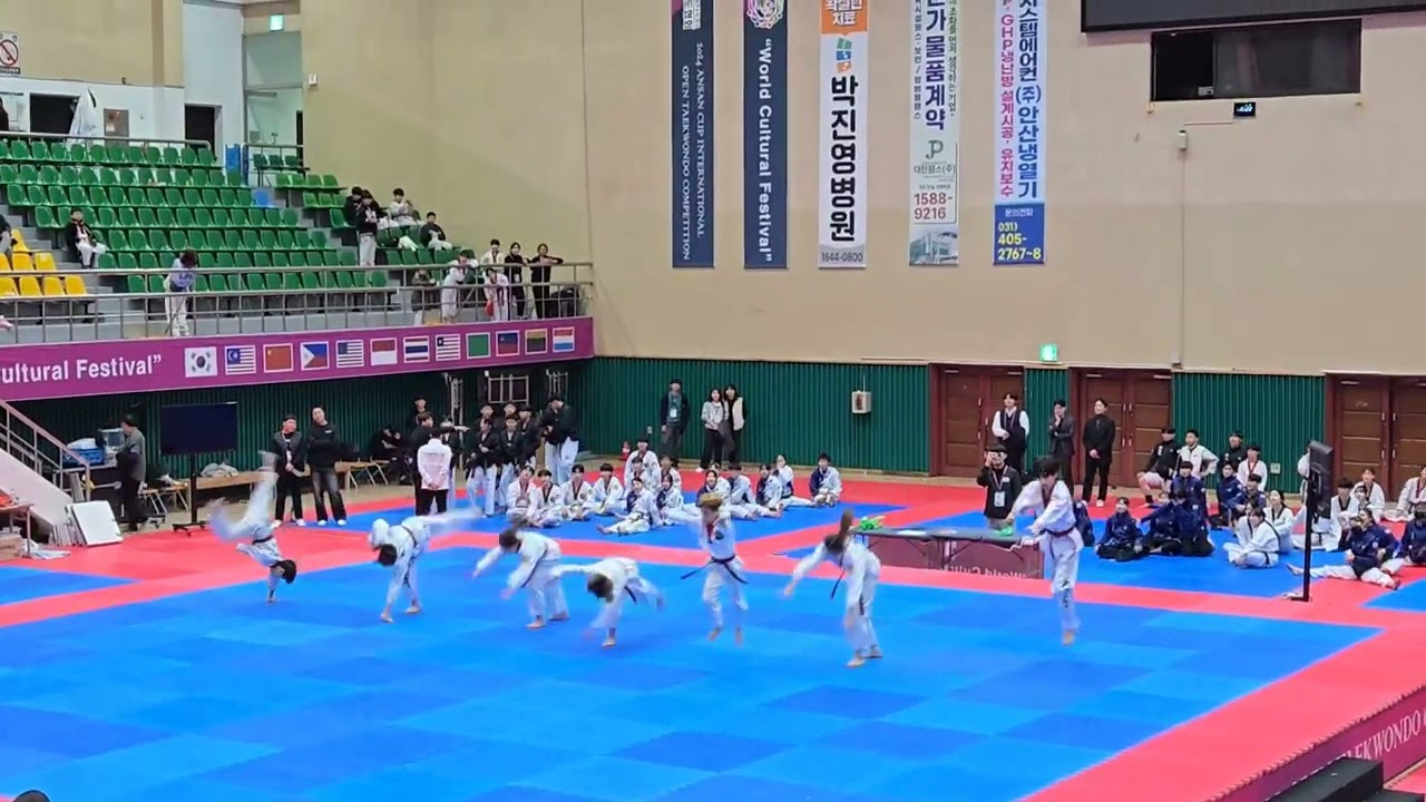 고려K타이거즈 태권체조 초등부 1위의 크라스👍 안산컵국제오픈 태권도대회