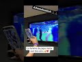 ❤️🤩 #senegal #viralvideo #shortvideo #shortsfeed