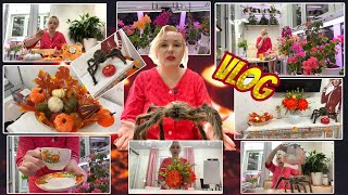 : VLOG:    //  //   //   