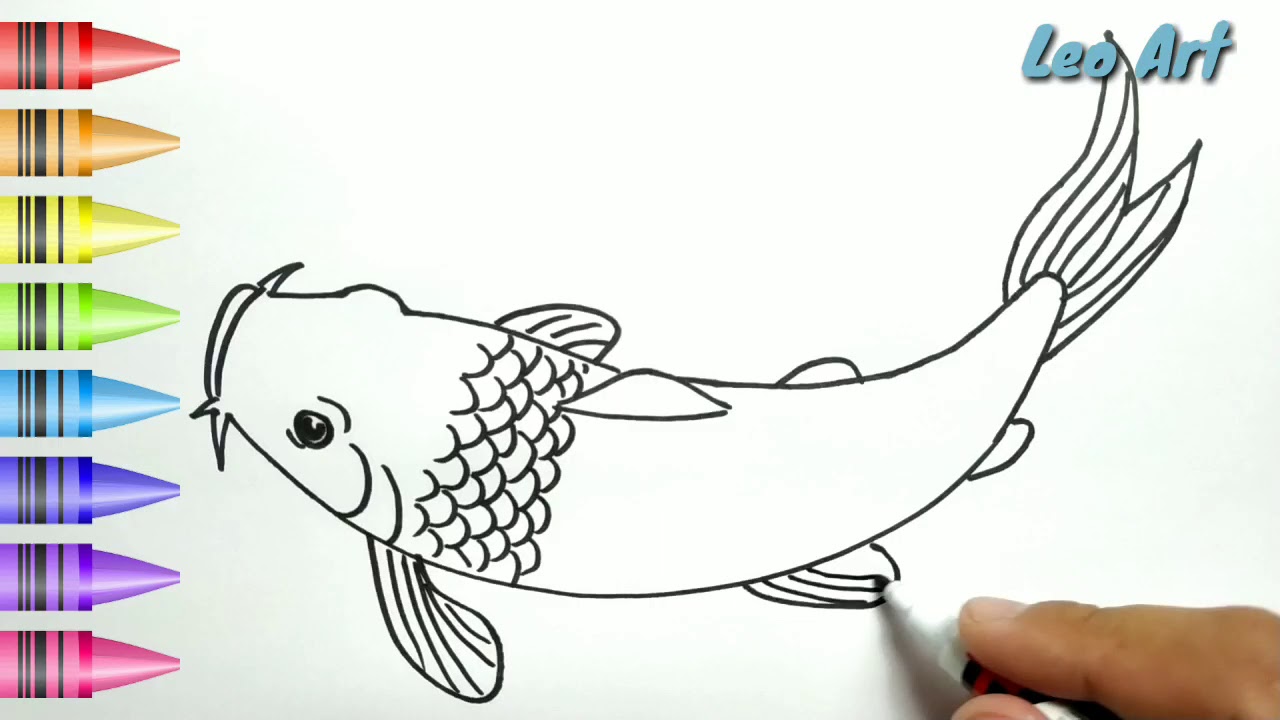 Gambar Ikan Koi Yang Mudah Digambar - Radea