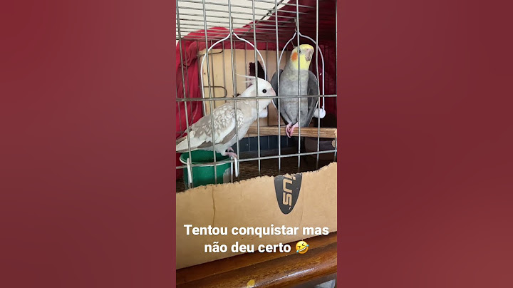 Tentando conquistar a crush 🤣