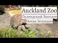 Auckland Zoo/Оклендский Зоопарк, Новая Зеландия