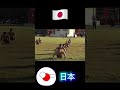 日本とロシアの違い #ポーランドボール #countryballs #おすすめ #おすすめにのりたい #おもしろ動画 #おもしろ #日本 #ロシア #shorts #japan #russia