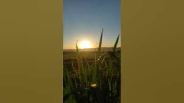 سبحان الله الذي أتقن كل شيء😍😌🍃تلاوة عذبة تأسر القلوب... #قرآن #اكسبلور #nature #quran