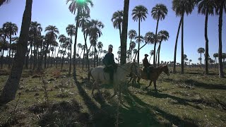 Lo mejor de Entre Ríos | Un pequeño Gran Viaje en 48hs
