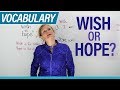 Understanding 'Wish' and 'Hope' in English