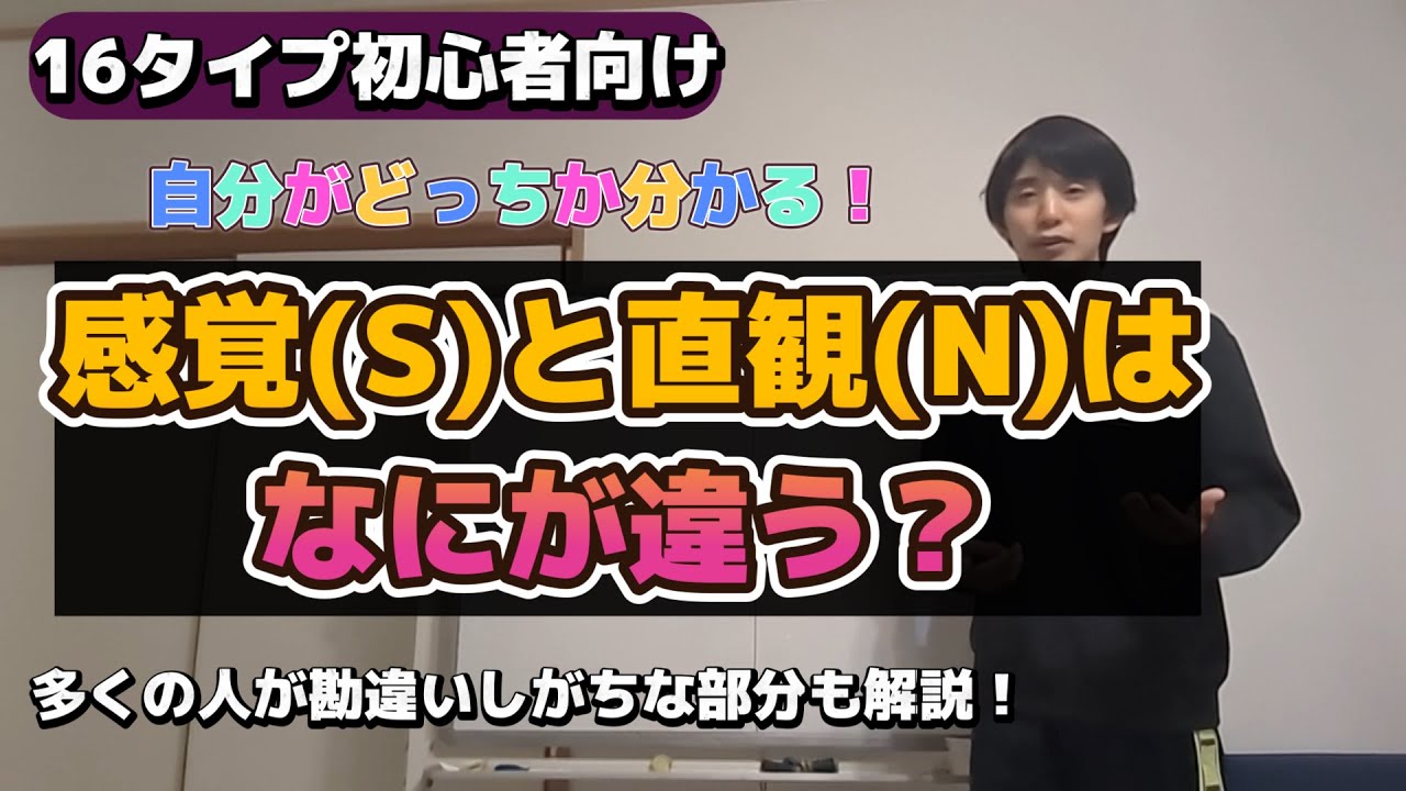 【初心者向け】S型とN型の見分け方を徹底解説！有限と無限、資源と言語で理解する16タイプ