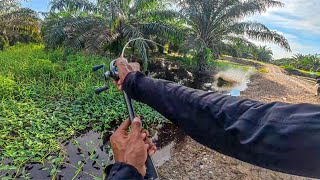 DILUAR PREDIKSI !!! MANCING DISARANG ORANG NYETRUM MALAH DAPAT IKAN BESAR 🤣