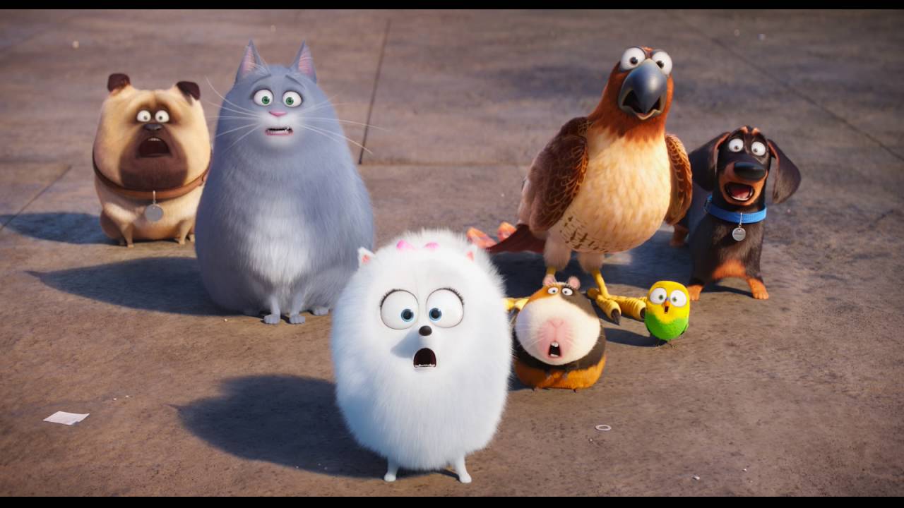 Tajný život maznáčikov (The Secret Life of Pets) - 2. oficiálny trailer - YouTube