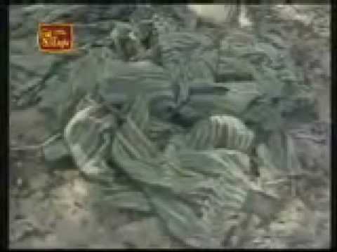 Wanni Operation 15/01/2009 - LTTE completely cut o...