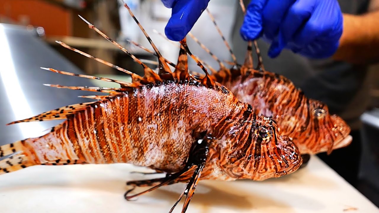 American Food - The MOST VENOMOUS FISH in the World! Key Largo Conch House Miami Florida | Travel Thirsty