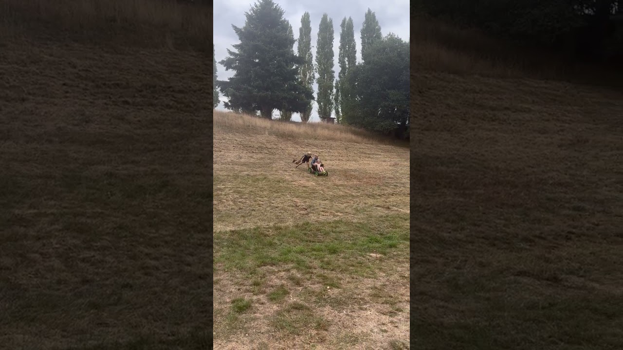 Woman and little girl ride go kart down grass hill and fall on their sides