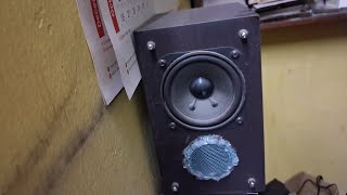 Microlab TMN-1 speaker max excursion 