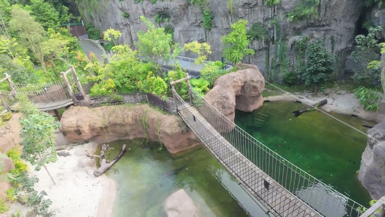 4K WALKTHROUGH: Rainforest Wild ASIA Singapore 🍃