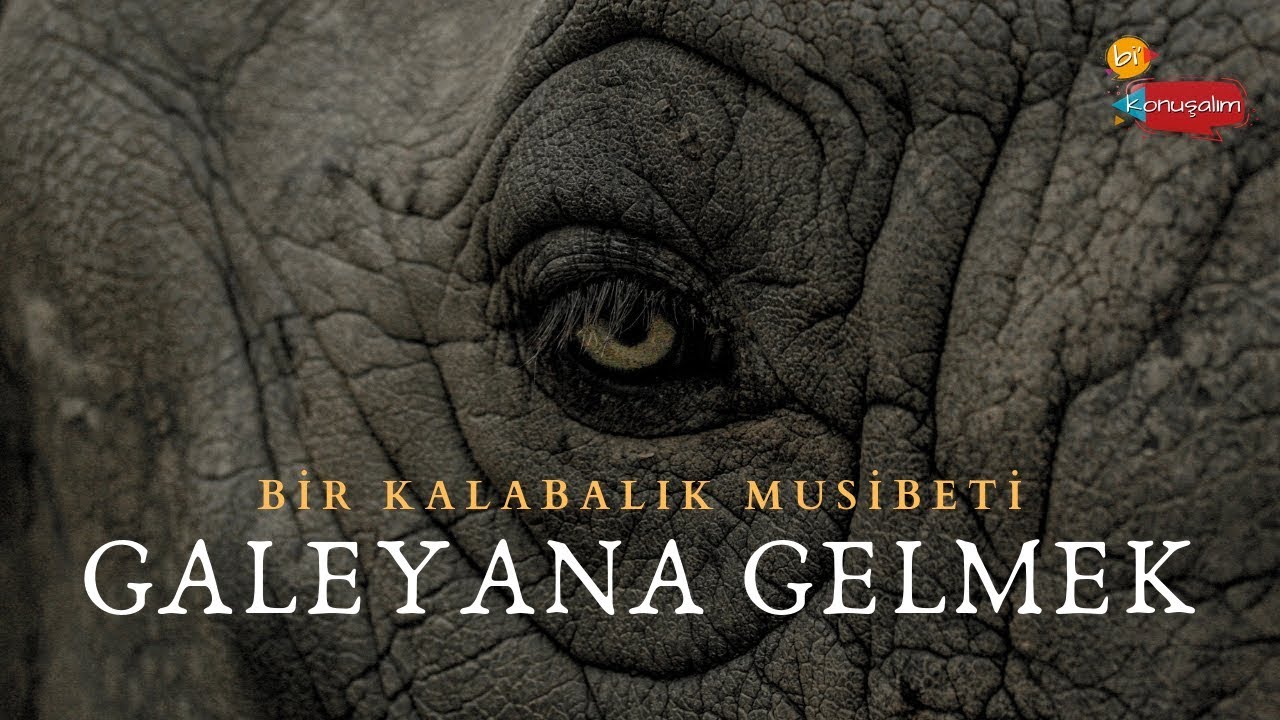 Galeyana Gelmek - 24 Nisan 2019 Bi Konuşalım
